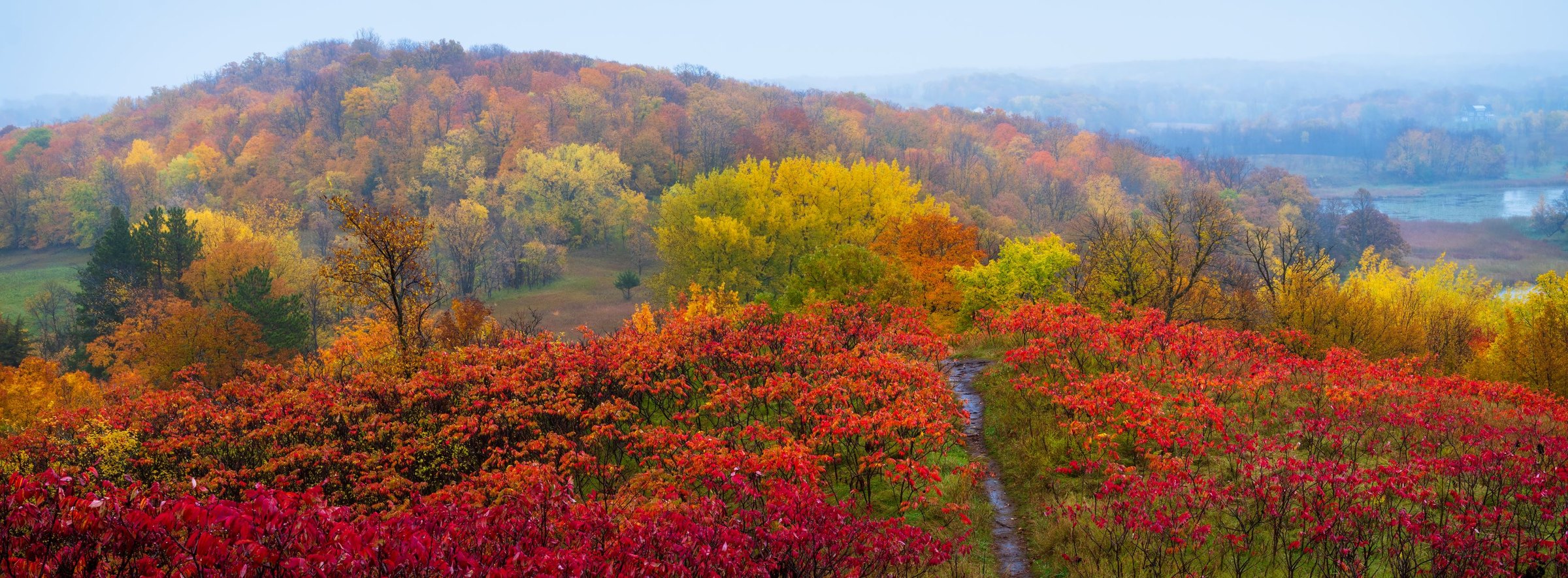 Maplewood Gold — Maplewood State Park, Minnesota