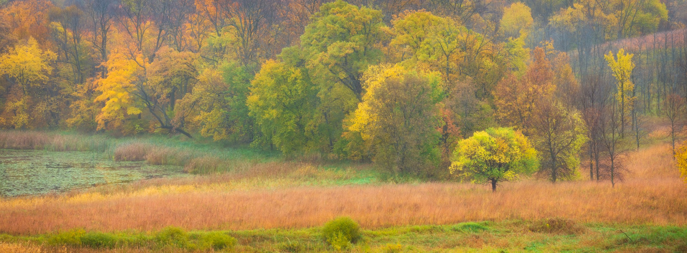 Maplewood Marsh — Maplewood State Park, Minnesota