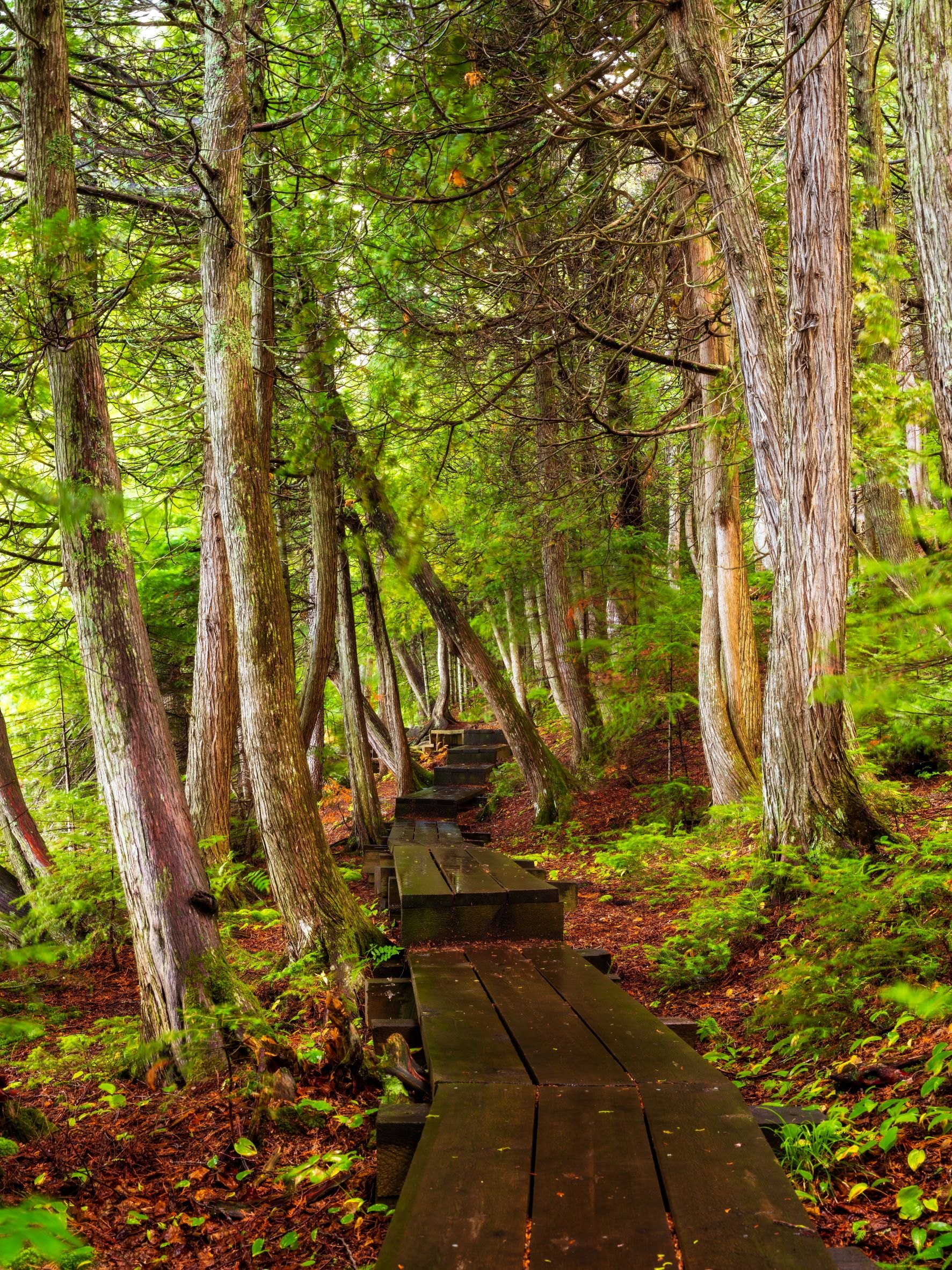 Manitou Path — George H. Crosby Manitou State Park, Minnesota
